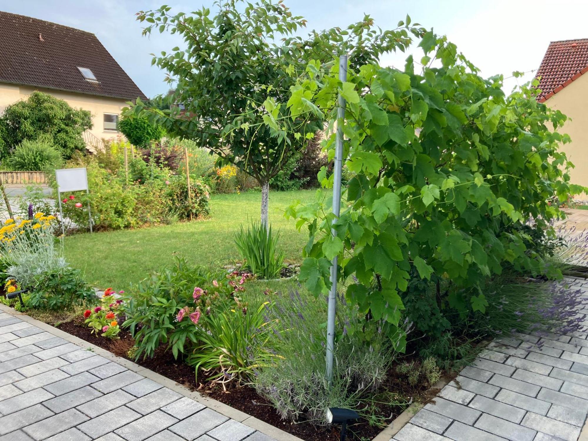 Ferienhaus Koch Bad Staffelstein Bagian luar foto